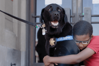 MSFF @ NFMLA: Bear the Courthouse Canine Thumbnail