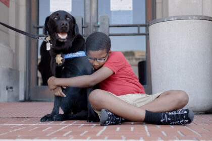 MSFF @ NFMLA: Bear the Courthouse Canine Thumbnail