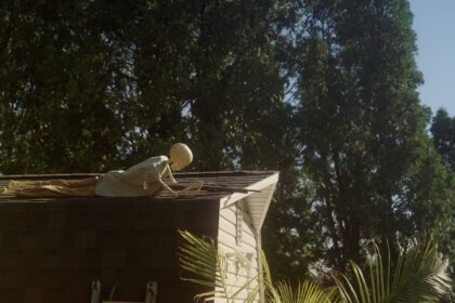 My Neighbor’s Yard Thumbnail